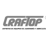 Logo_Craftop_español